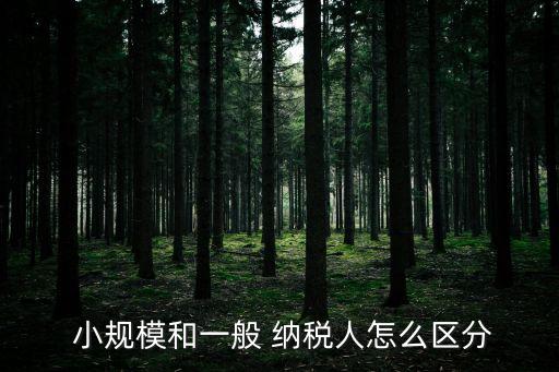小規(guī)模納稅人和一般納稅人的區(qū)別,如何認定小規(guī)模納稅人和一般納稅人的區(qū)別