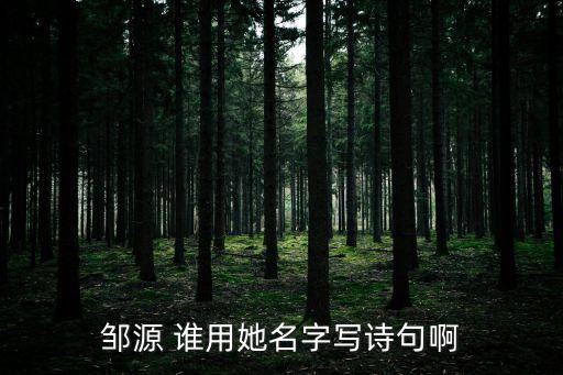 鄒源，誰能用鄒源這個名字寫兩句詩