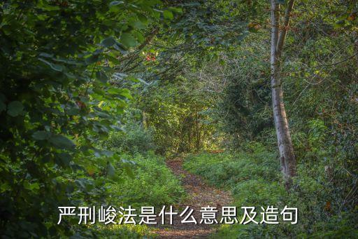 峻法，深度剖析秦朝實行嚴酷至極的嚴刑峻法究竟是想干啥