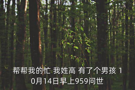 高志平，高志平是踢什么位置的