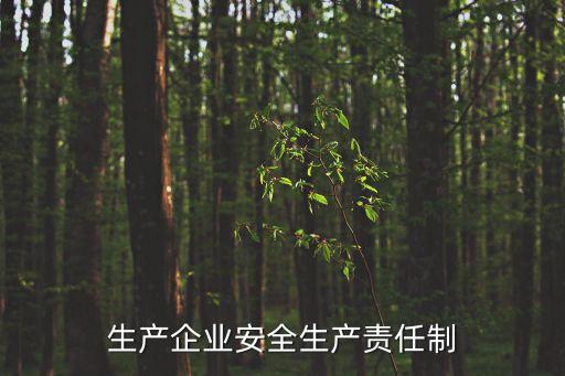 安全生產(chǎn)崗位責任制，資料員安全生產(chǎn)責任制是什么