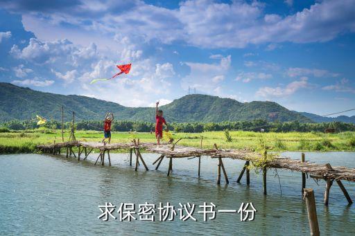 保密協(xié)議模板，公司保密協(xié)議