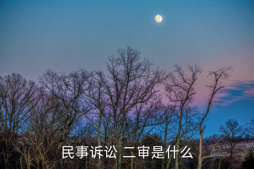 二審