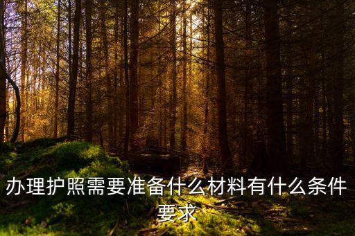 辦理護(hù)照材料，辦理護(hù)照需要準(zhǔn)備什么材料有什么條件要求