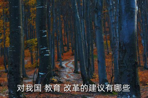 教育改革