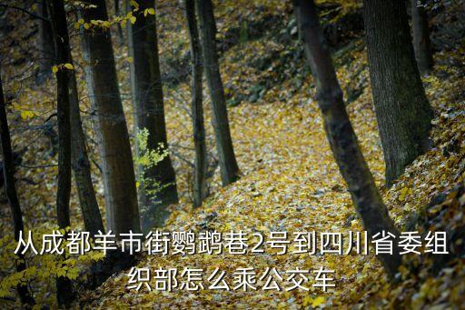 從成都羊市街鸚鵡巷2號到四川省委組織部怎么乘公交車