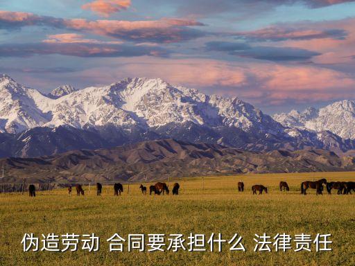 合同造假的法律后果,合同糾紛找哪個部門解決最快