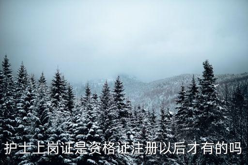 護士上崗證是資格證注冊以后才有的嗎