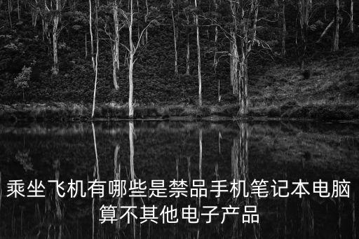 乘坐飛機(jī)有哪些是禁品手機(jī)筆記本電腦算不其他電子產(chǎn)品