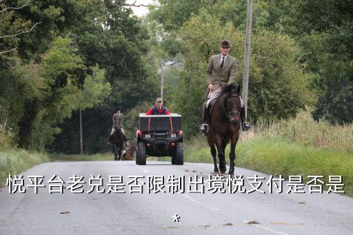 悅平臺(tái)，悅平臺(tái)老兌是否限制出境悅支付是否是*