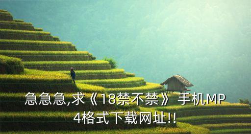 急急急,求《18禁不禁》 手機MP4格式下載網(wǎng)址!!