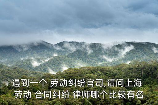 遇到一個(gè) 勞動糾紛官司,請問上海 勞動 合同糾紛 律師哪個(gè)比較有名