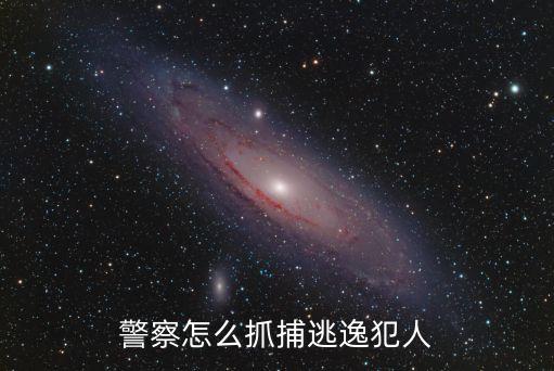 追捕逃犯，*怎么樣抓逃犯