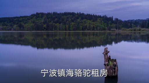 鎮(zhèn)海租房，寧波鎮(zhèn)海駱駝租房