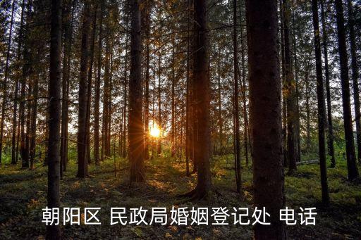 民政局電話(huà)咨詢(xún)電話(huà),蘭陵縣民政局電話(huà)咨詢(xún)電話(huà)