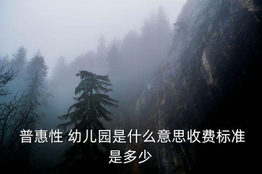 普惠幼兒園