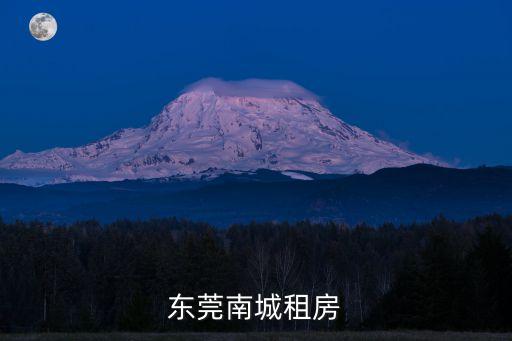 東莞南城租房，請問在東莞南城哪里可以租到一房一廳的房子