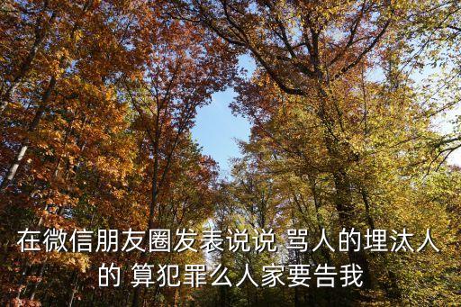 朋友圈罵人犯法嗎，朋友圈亂發(fā)之名罵人挑撥別人犯法嗎