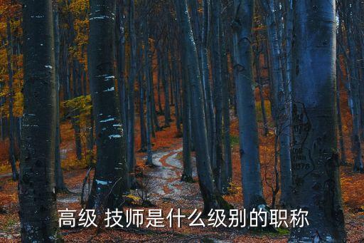  高級 技師是什么級別的職稱