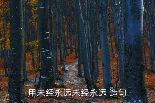 用未經(jīng)永遠(yuǎn)未經(jīng)永遠(yuǎn) 造句