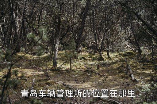 青島車管所，青島車輛管理所的具體地址在哪
