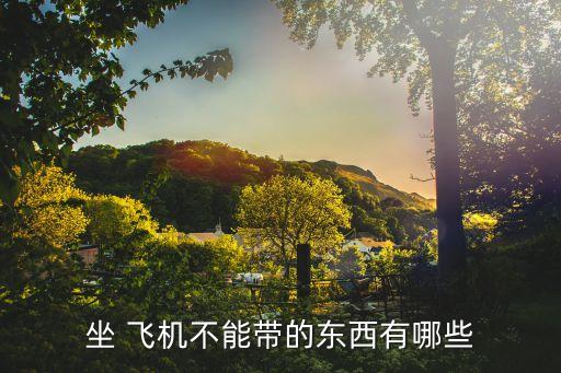飛機(jī)不能帶什么,新手第一次坐飛機(jī)不能帶什么