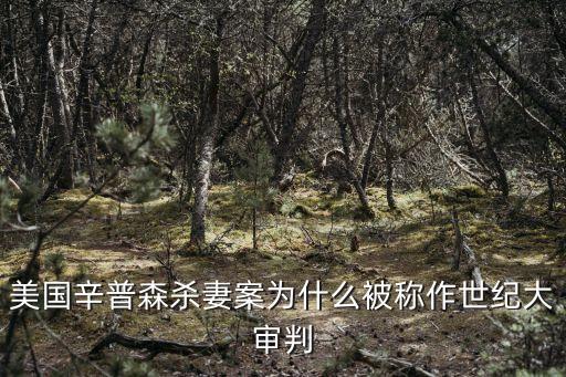 世紀(jì)大案，世紀(jì)大冤案是怎么來的
