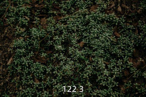 122 3