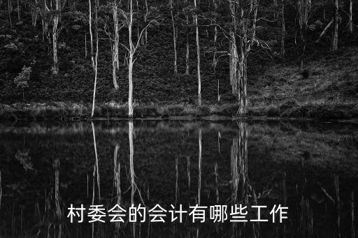 村委會會計，什么是村會計