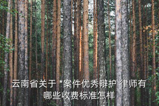 *案知名律師,專打*案律師