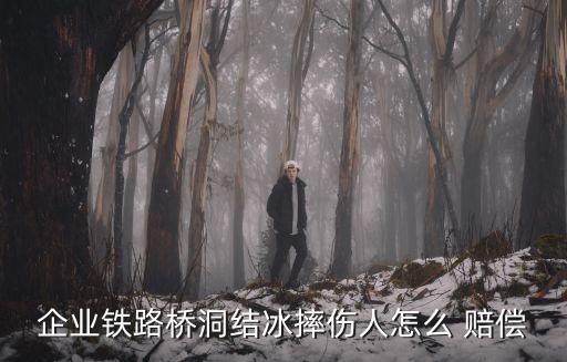 企業(yè)鐵路橋洞結冰摔傷人怎么 賠償