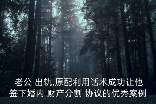 老公出軌后怎么簽婚內(nèi)財(cái)產(chǎn)協(xié)議