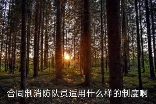 合同制消防隊(duì)員適用什么樣的制度啊