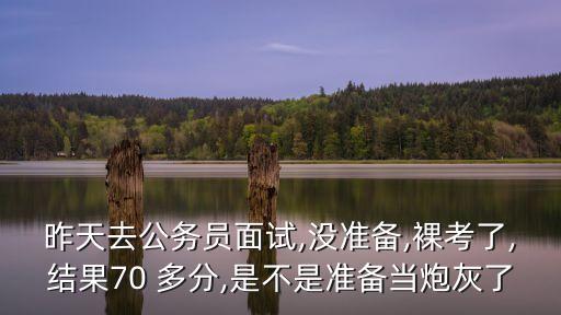 昨天去公務(wù)員面試,沒準(zhǔn)備,裸考了,結(jié)果70 多分,是不是準(zhǔn)備當(dāng)炮灰了