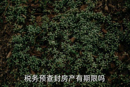 稅務(wù)預(yù)查封房產(chǎn)有期限嗎