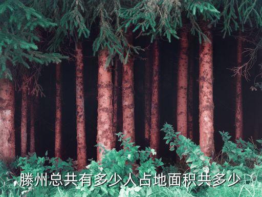 滕州市人口，滕州到底有多少人口