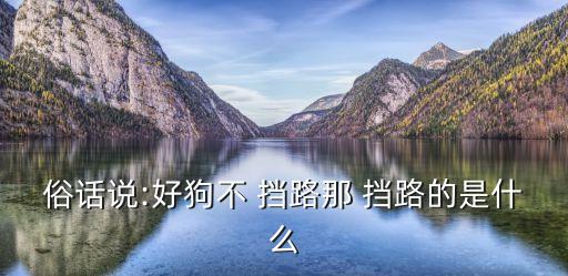 俗話說:好狗不 擋路那 擋路的是什么