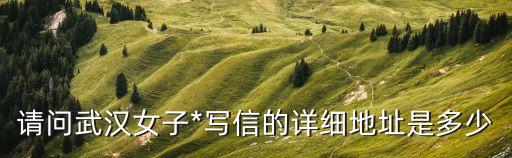 請(qǐng)問武漢女子*寫信的詳細(xì)地址是多少