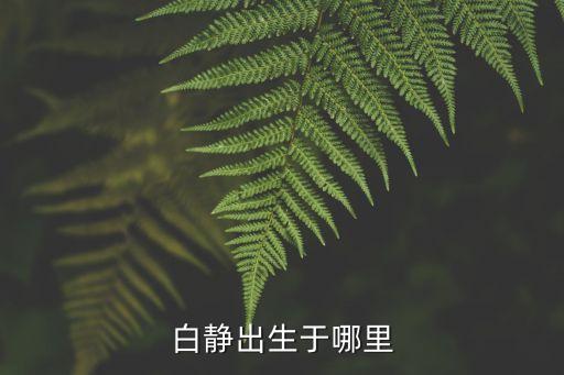 白靜，愛(ài)情連連看女嘉賓白靜資料