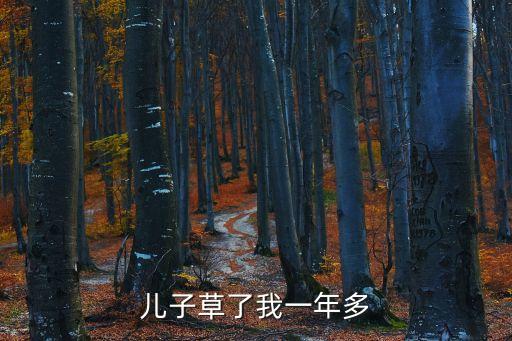 兒子草了我一年多