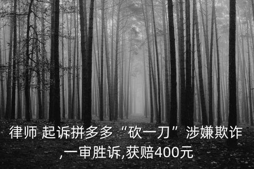 起訴拼多多,如何起訴拼多多平臺和商家