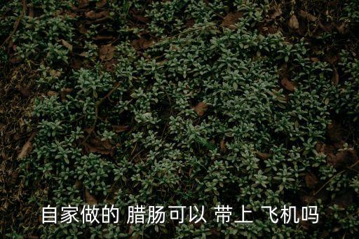 臘腸能帶上飛機嗎,散裝臘腸能帶上飛機嗎?