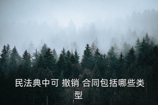 民法典可撤銷的合同有哪些情形