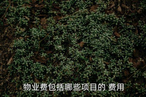 物業(yè)費包含哪些費用,民法典規(guī)定物業(yè)費包含哪些費用