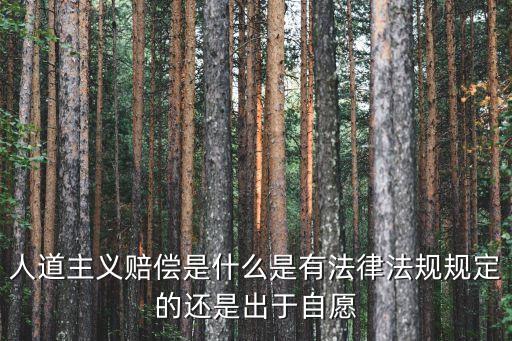 人道主義賠償，人道主義的賠償協(xié)議有法律效力嗎