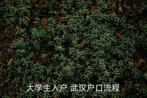 武漢落戶政策,中級經(jīng)濟(jì)師武漢落戶政策