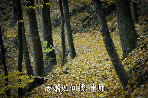 離婚律師微信免費(fèi)咨詢(xún)電話