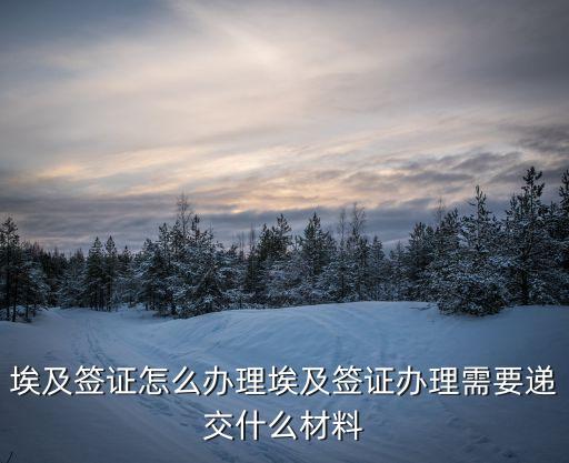 埃及簽證怎么辦理埃及簽證辦理需要遞交什么材料