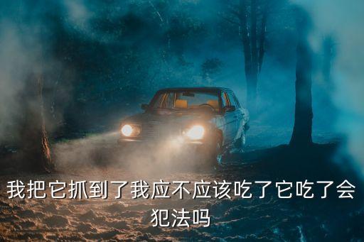 我把它抓到了我應(yīng)不應(yīng)該吃了它吃了會(huì)犯法嗎