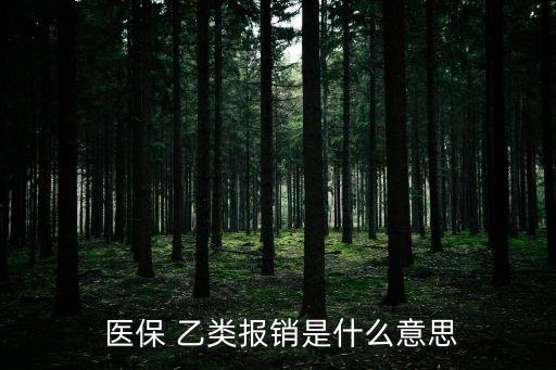醫(yī)保乙類